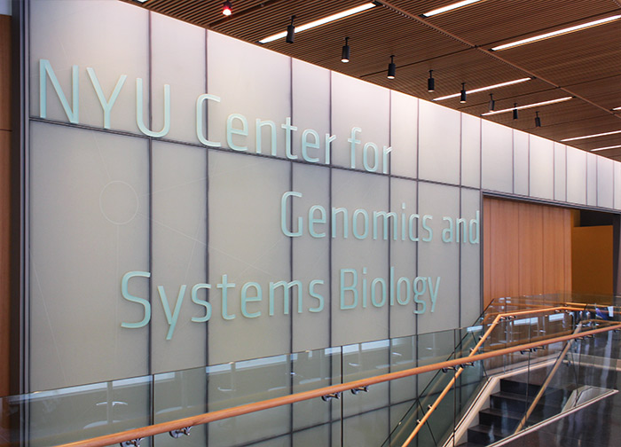 New York University Center for Genomics and Systems Biology