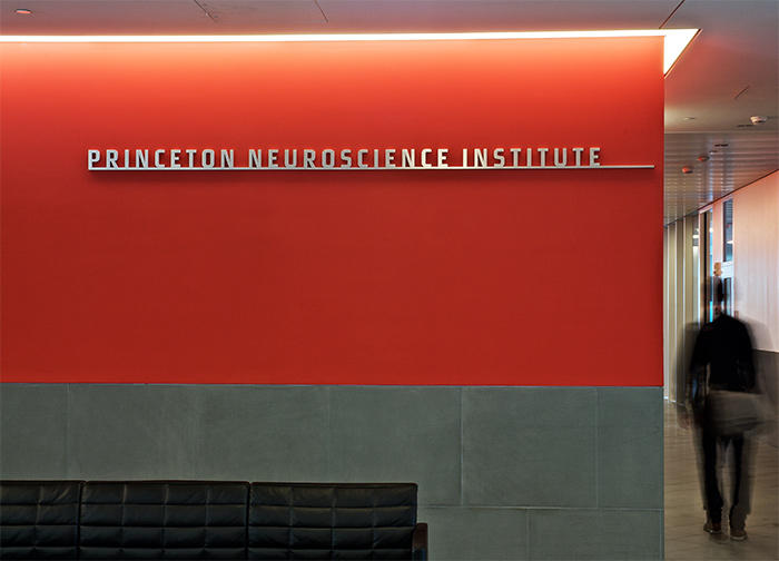 Princeton University Neuroscience Institute and Peretsman-Scully Hall