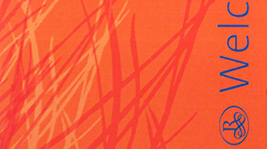 Renaissance Schaumberg print material
